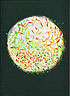 Knopf Zeichenbuch1996 weißerPunkt auf gruenem Buch